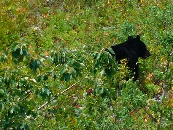 9989E23C5B949F2C32E97E