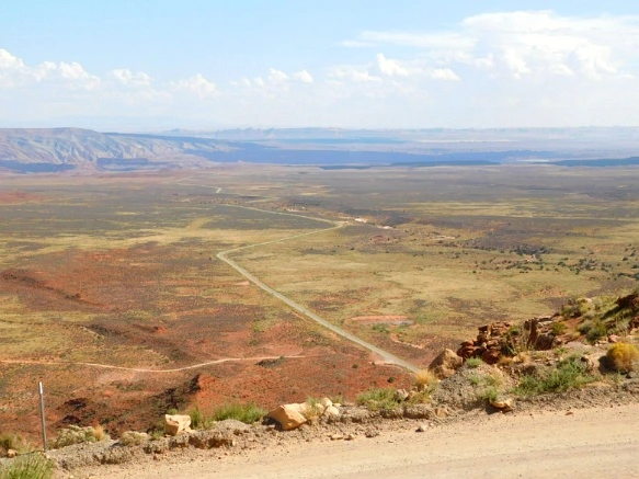 990AC33359BDC2211FCC41