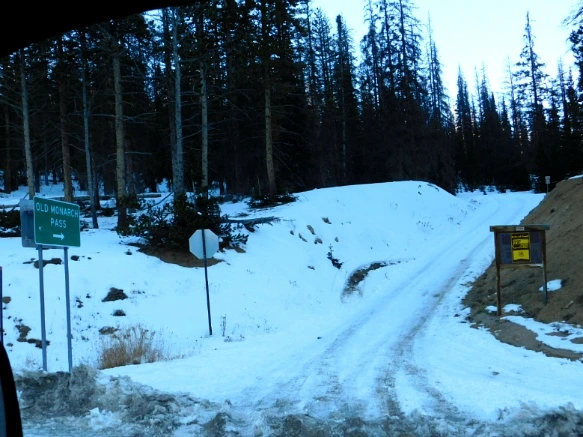 99AE4D335A0E54593AE4FA