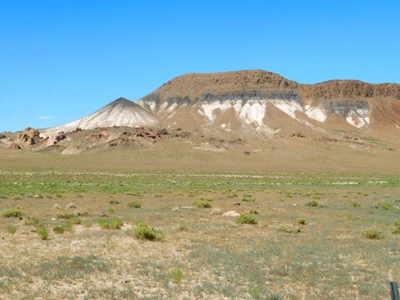 23086A3D576F44CE11AE92