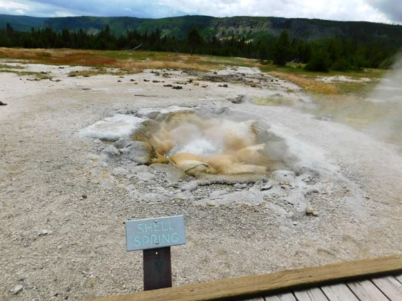 99E2DC4E5B39A59F032A67