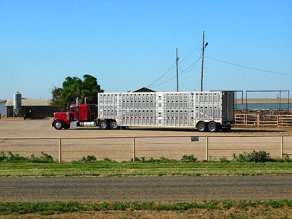 245971355782FDCB25C476