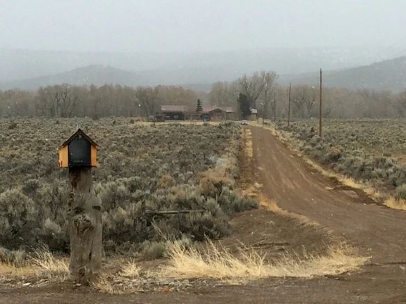 253F5A4A5705B1CA331170