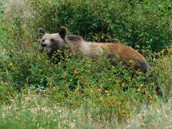 99B50F505B8F39752E030D