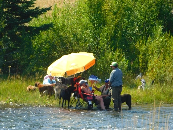 9959783359ACE279146B58