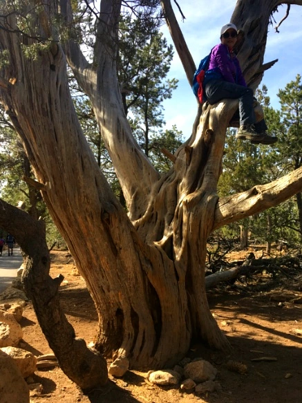 9913CB335A1F58F329A3BA