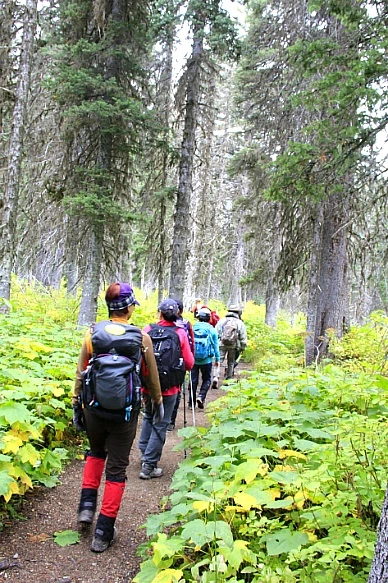 996BB24F5BA1B7E818C76B