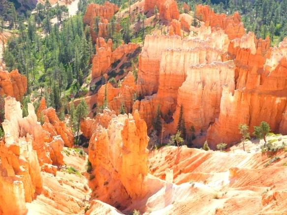 216562335769D73B1682DA