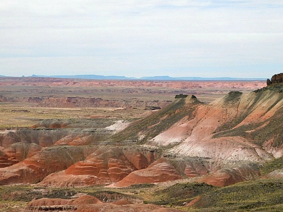 99062C355BE6779A2817F1