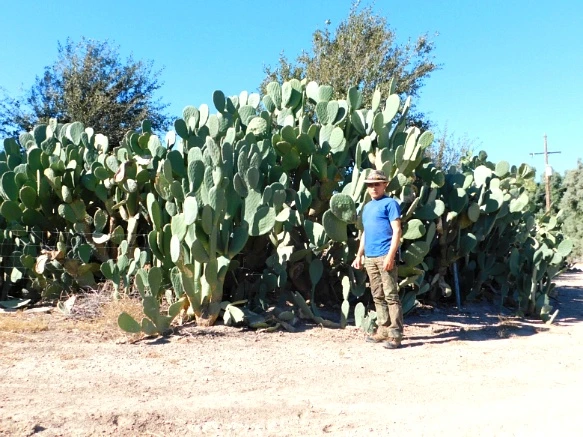 995185335A28AE8633FBC6