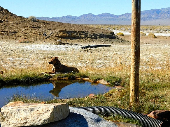 99D0B1375BD1341D15D117