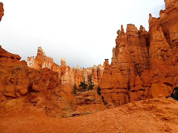 99BB39505BC5681C1FA808