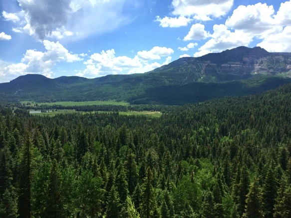 2564EB3D5760C10701799E