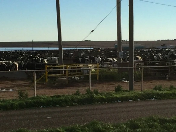 27667650571C41DA27B118