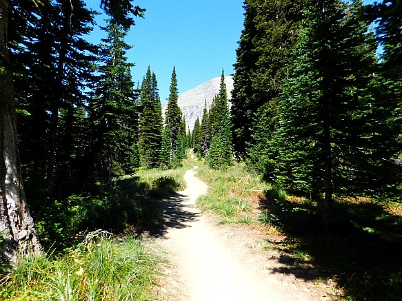 99486C455B95AA890DC8A7