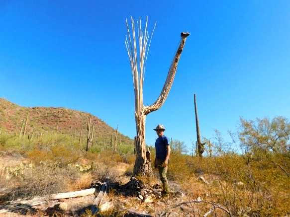 9966A4335A2A12761DE81C