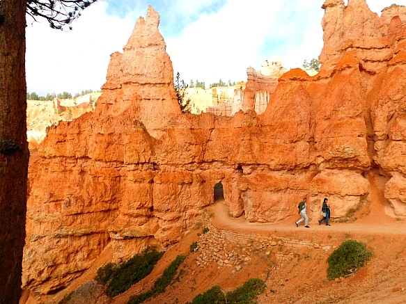 9909994A5BC5697121C10E