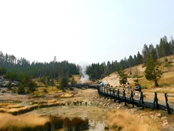 9946793359AF0FD4268A86