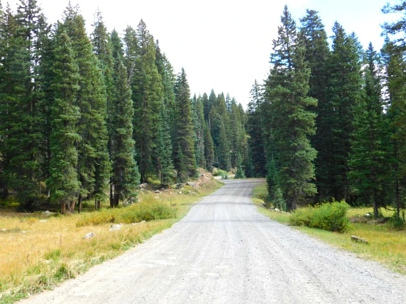 99799C3359BF48BF4008B9