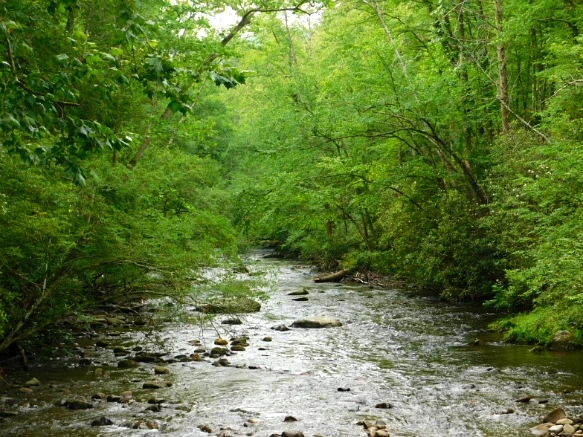 23627D4859509A2E08CD83