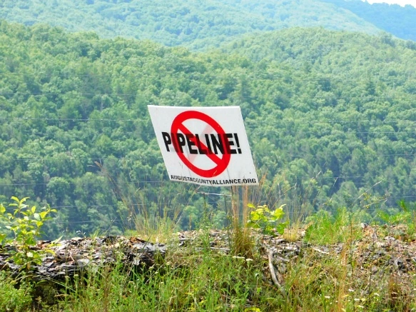 231CAB44594C918B102D41