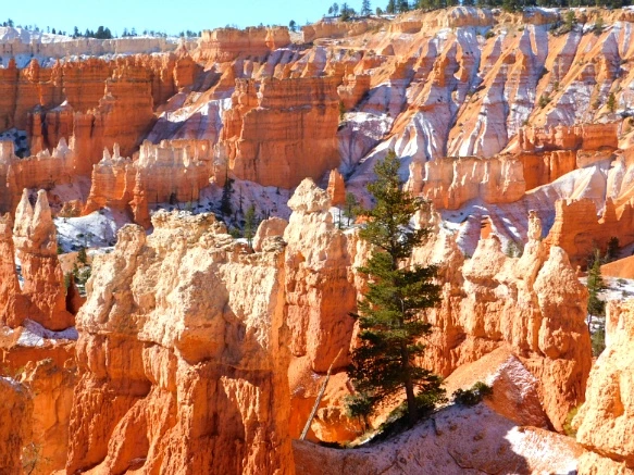 990956335A1A3B6A0F2CAA