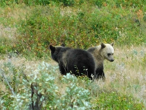 99B289425B8F3A8F29CFEF