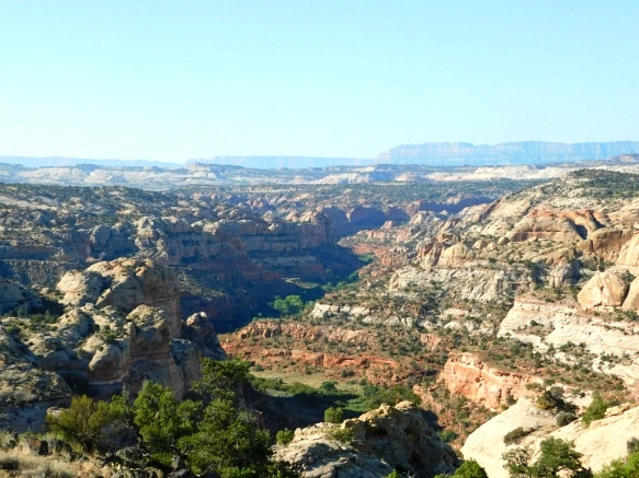 990BFB3359B74D62160416