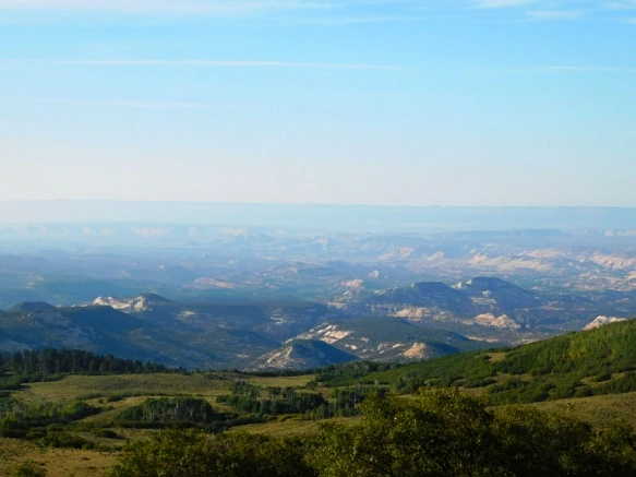 99BC663359B74D5D226FC5