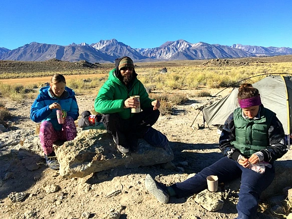 990854395BD3E8341A0378