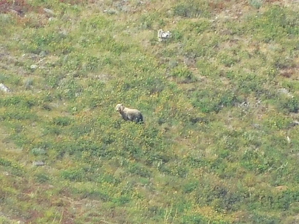 99D407485B8F334615F276