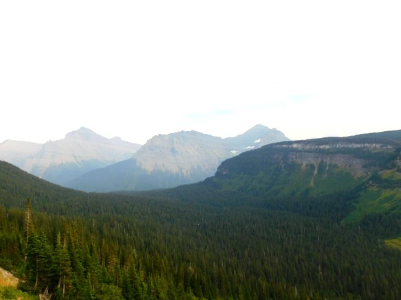 99808B3359A103BE2353A7