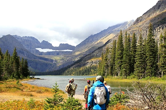 99F203465BA1B7BB0D21F0