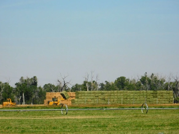 99CA6B33599F9D741C7561