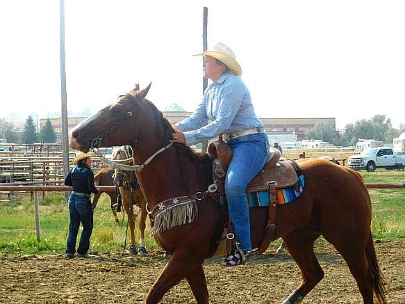 99C01C405B7A33F02B8ACA