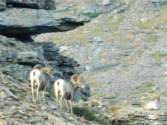 9913BE3359A104FB2556F5