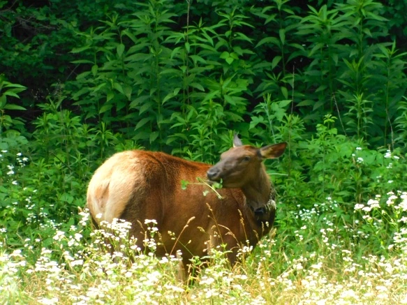 22059A48595096CD15F3D1