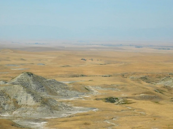 99D20C33599F9D6E0FD6B7