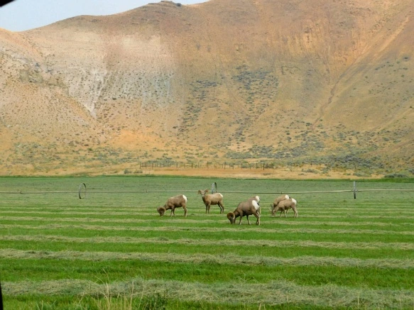 99749C3359AB2907154EA1