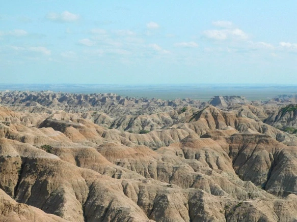 99B81A455B480AA4313AD4