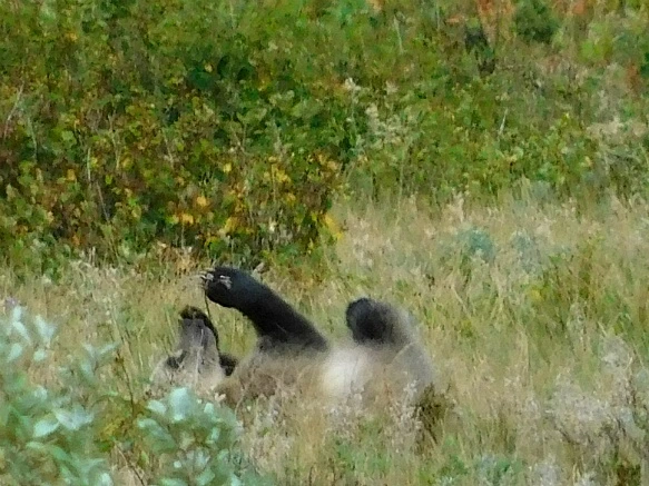 9972D9425B8F3A952D556F