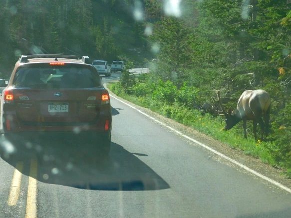 99138F455B29EC72193BE7