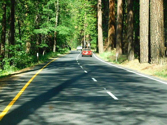 2215753657736C58254A75