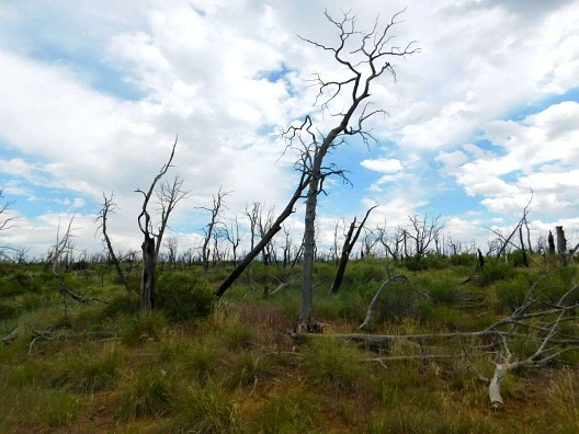 2251BB4657622AFE2ED5A3