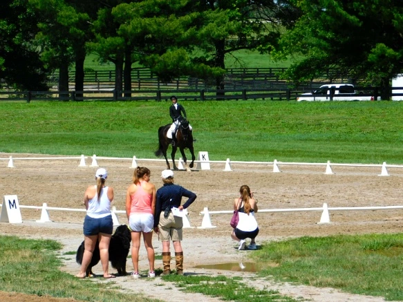 23733633597D16FC2E3865