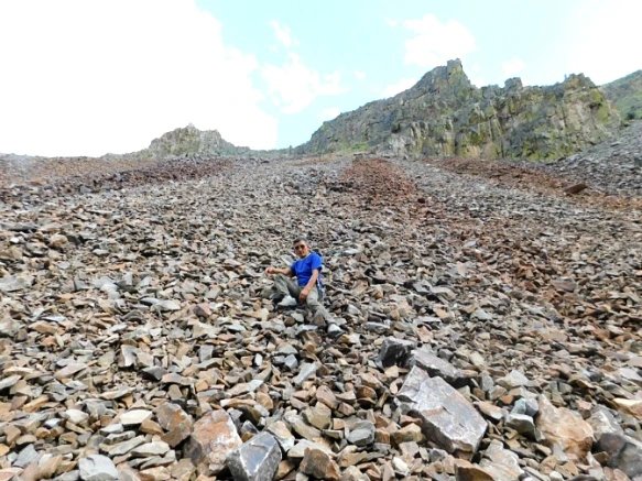 995A5B3E5B2F293C366435