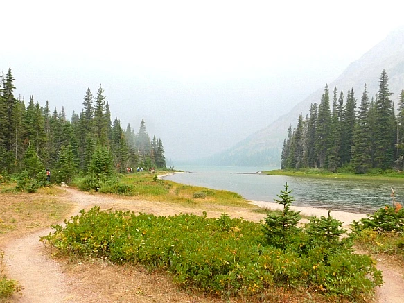 9984E3505B8CA02431850E