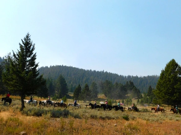 99851E3359ADFAF8092082