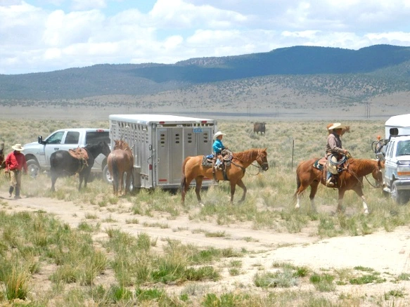 2460E74559334DF807FC87