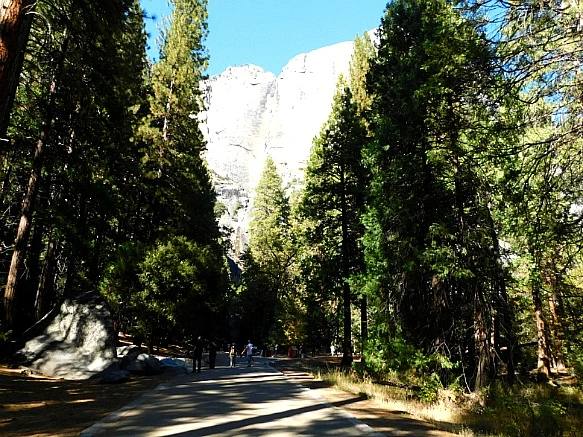 992E563C5BD6722B2A1AEB